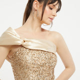 Sequin Detailed Ziberlin Long Evening Dress